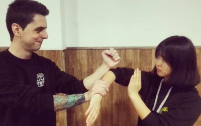 Algunos apuntes en la práctica del Wing Chun (Parte I)