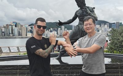 El método de entrenamiento del Wing Chun: técnica, sensibilidad y control