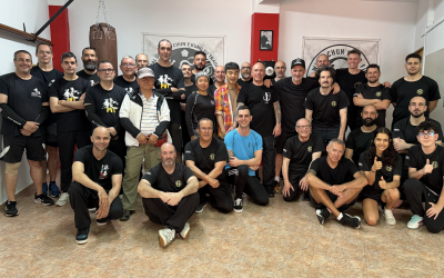 Crónica del seminario internacional con Sifu Li Hang Cheong. Mayo 2026